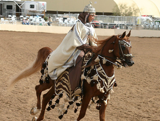 Arabian Horse Western