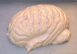 Igor's Pickled Brain Halloween Gelatin Mold Recipe