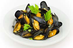 Mussels in cream sauce