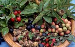 Rose Hip Marmalade