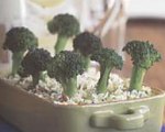 Mollie Katzen's The Enchanted Broccoli Forest