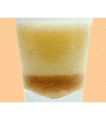 Creme Brulette Gelatin Shot