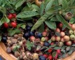 Rose Hip Marmalade