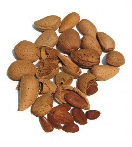 563032_almonds_1.jpg