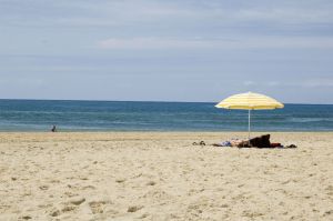 849456_beachview_2.jpg