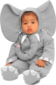 baby elephant