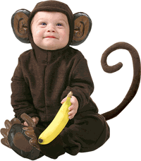 baby monkey