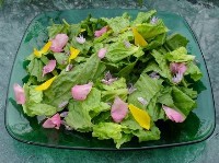 salad_n-200×149.jpg