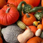 pump-and-squash.jpg