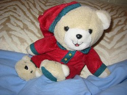 teddy-bear.jpg