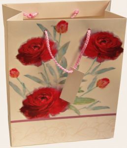 gift_bag.jpg