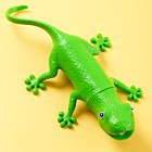 showerpetlizard.jpg