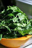 spinach-a.jpg