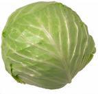 cabbage.jpg