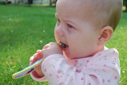 baby food safety