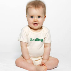 organic baby clothing
