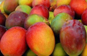 mango for baby