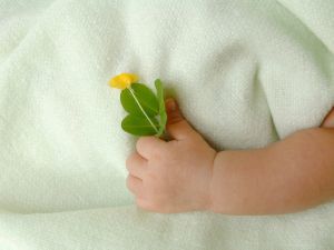 organic-fabrics-for-baby.jpg