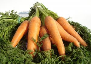 958451_carrot.jpg