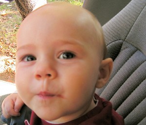 baby ears