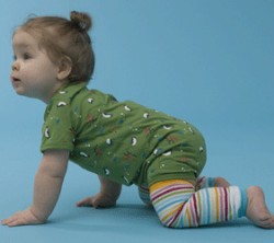 baby-legs-250x222.jpg