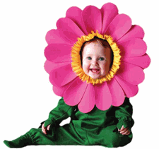 brandsonsale-store_2019_247207287.gif