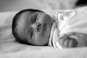 808013_baby.jpg