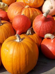 pumpkin_smoothie.jpg
