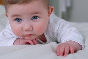 535694_alice_-_crawl_.jpg