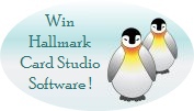 1035402_penguin.jpg