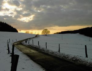 dawn_in_winter.jpg