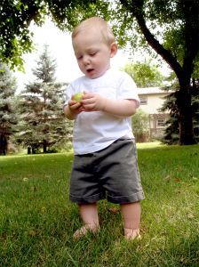644849_apples_in_the_backyard.jpg