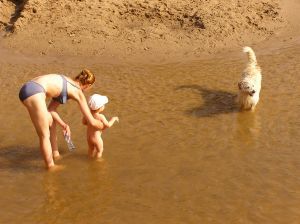 mother_showing_a_dog_to_a_kid.jpg