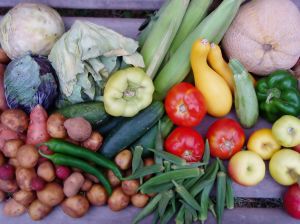 veggies for a healthy pregnancy