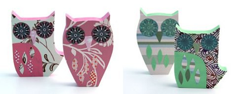 world-of-color-birds-owls