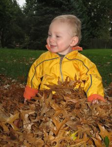 autumn baby names autumn baby names