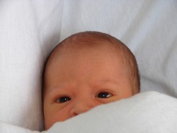 peekaboo baby peekaboo baby