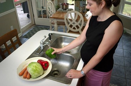 food safety during pregnancy - food safety