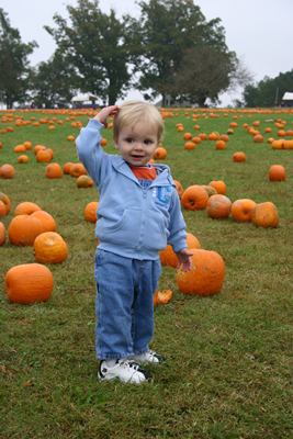 pumpkin patch safety for babies and toddlers - halloween safety halloween pumpkin safety, pumpkin patch safety, baby costume, baby halloween, Baby Halloween costume, baby safe halloween treats, best Baby Halloween costume, candy for babies, halloween baby, halloween candy, halloween costume, halloween for baby
