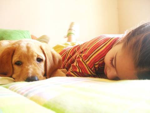 dogs-and-kids-baby-safety-and-dogs.jpg