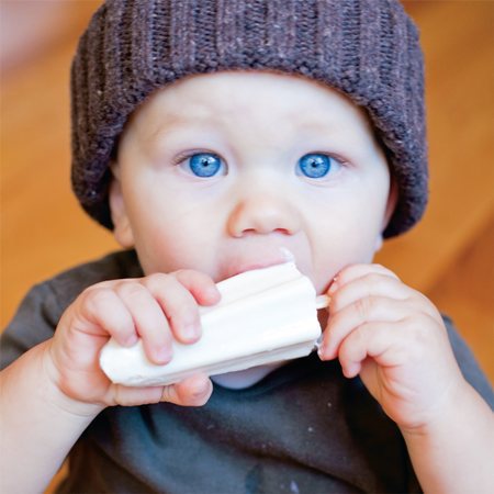 IcePopJoy-ClassicVanillaTofu homemade ice pops, homemade juice pops, homemade popsicle flavors, Homemade Popsicle Recipes, Homemade Popsicles, ice pop molds, ice pops, ice pops with juice, organic cooking, plastic molds, plastic popsicle molds, Popsicle Recipes, Popsicles, pudding pops, reduce trash, save on resources, silicone popsicle molds, unique homemade ice pop, fruit pops, fun with kids, ice pop joy, unique homemade popsicles