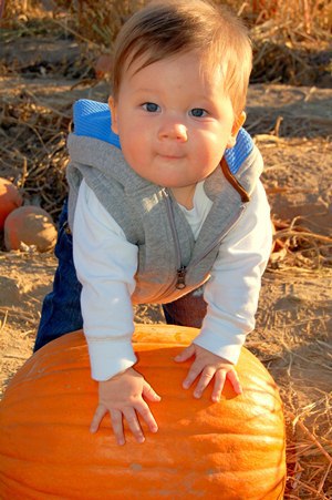 baby halloween - safe and fun baby halloween baby costume, baby halloween, Baby Halloween costume, baby halloween toy, baby safe halloween treats, best Baby Halloween costume, candy for babies, halloween baby, halloween candy, halloween costume, halloween for baby