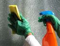 Mold in your house